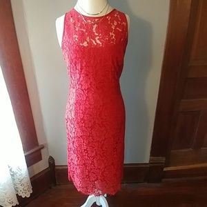 NWOT WHBM burnt orange lace dress